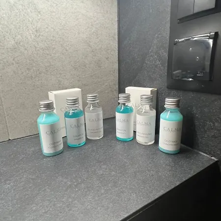 Appartement Nowoczesny W Makowie Podhalanskim